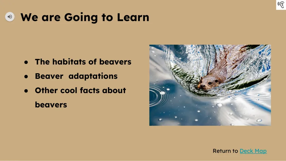 Learning preview introduces beaver habitats, adaptations, and other facts, with an audio playback icon