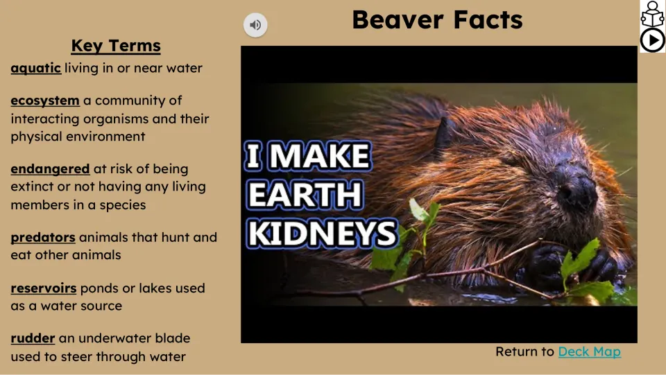 Video lesson slide defines aquatic, ecosystem, endangered, predators, reservoirs, and rudder as key terms