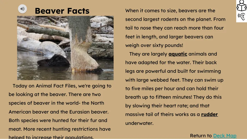 Opening reading passage covers two beaver species, hunting, size, webbed feet, swimming, and tail use