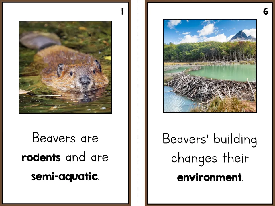 Beaver reader pages 1 and 6 explain that beavers are semi-aquatic rodents and their building changes the environment