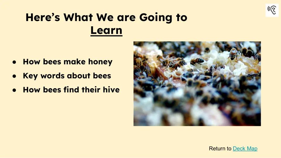 Learning preview naming how bees make honey, key words about bees, and how bees find their hive as topics