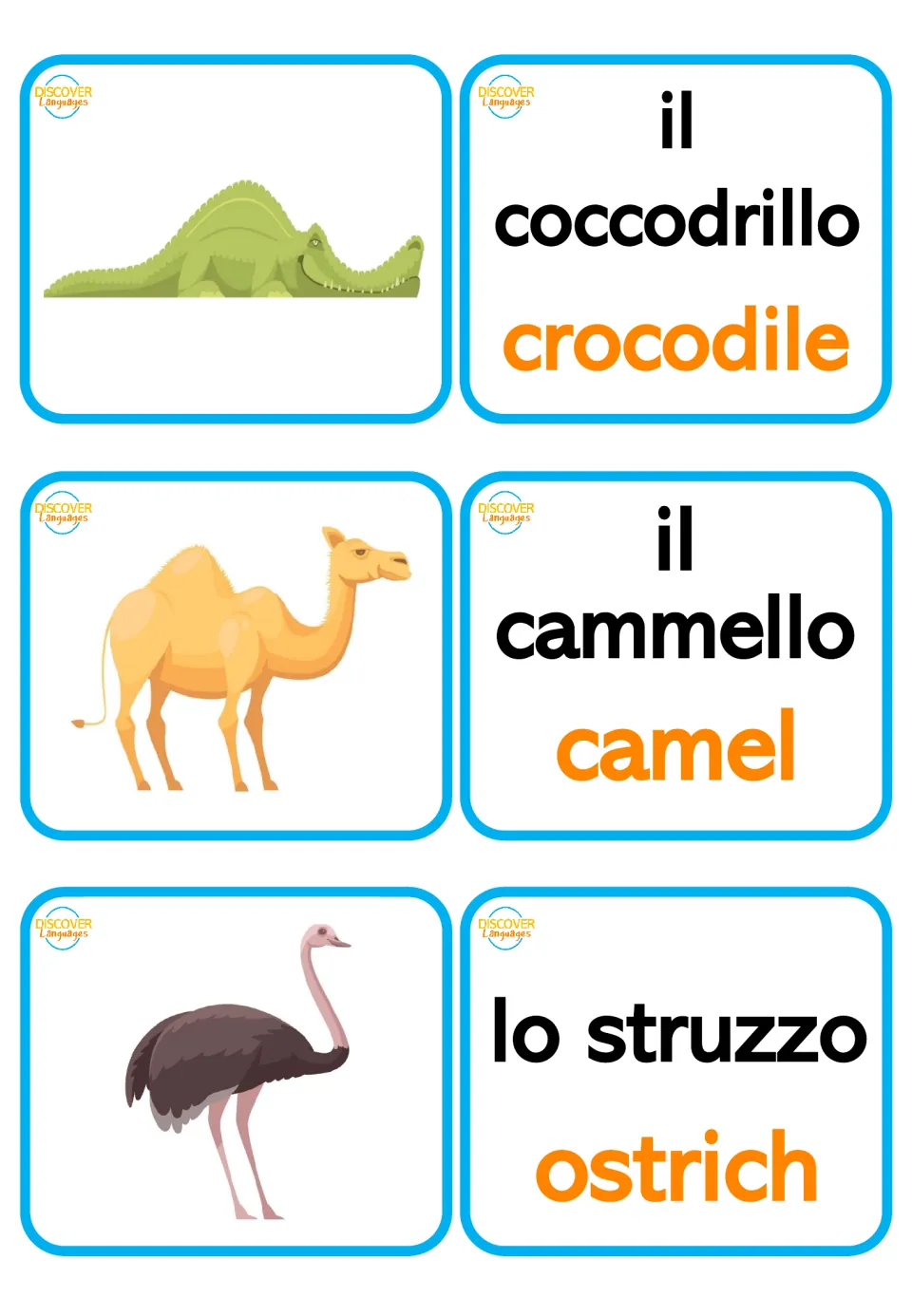 Italian picture and word cards: il coccodrillo (crocodile), il cammello (camel), and lo struzzo (ostrich)