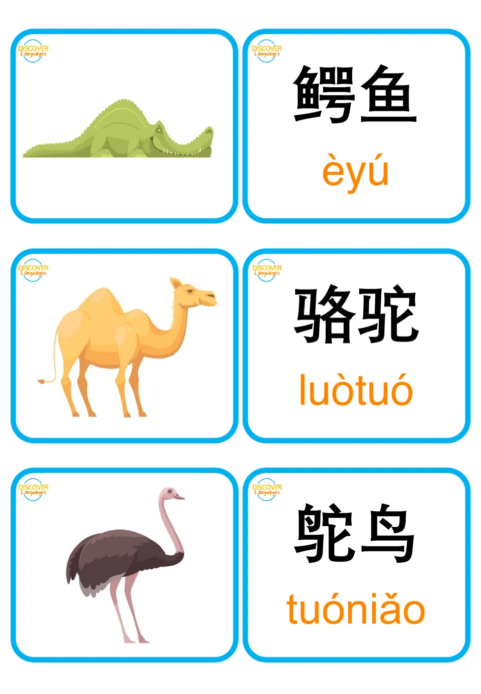 Crocodile, camel and ostrich cards: pictures paired with 鳄鱼 èyú, 骆驼 luòtuó and 鸵鸟 tuóniǎo for character and pinyin recall