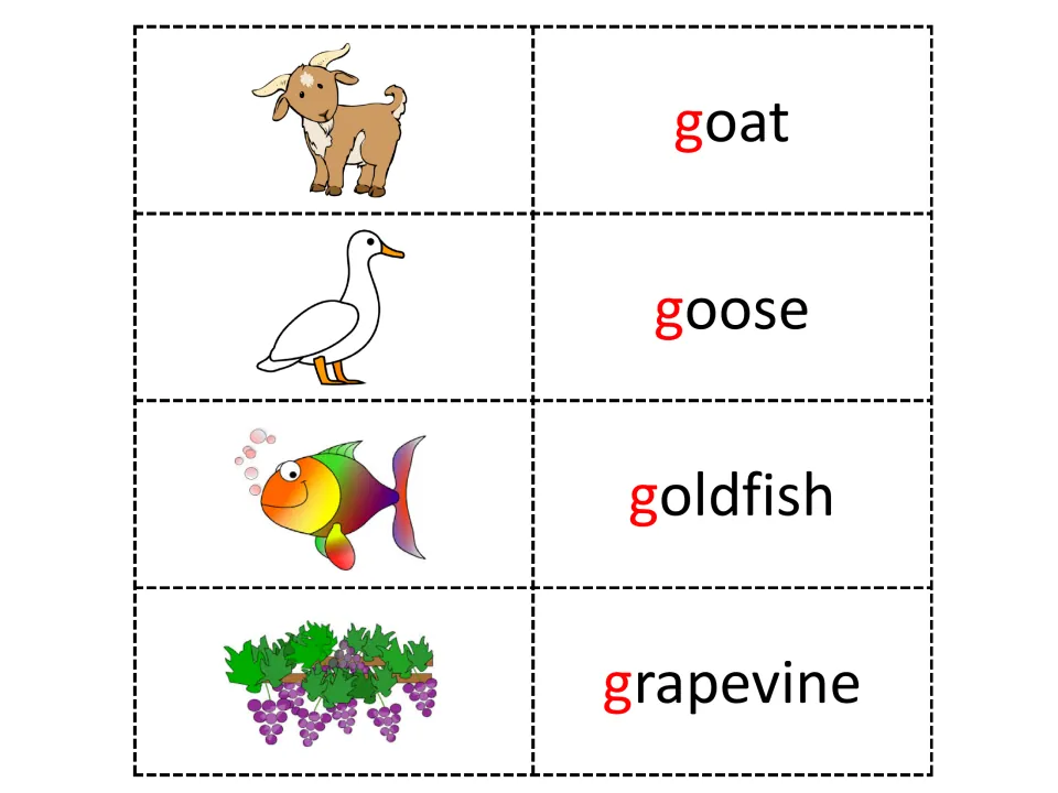 Letter G beginning sounds: students match pictures of a goat, goose, goldfish and grapevine to word cards with a red g