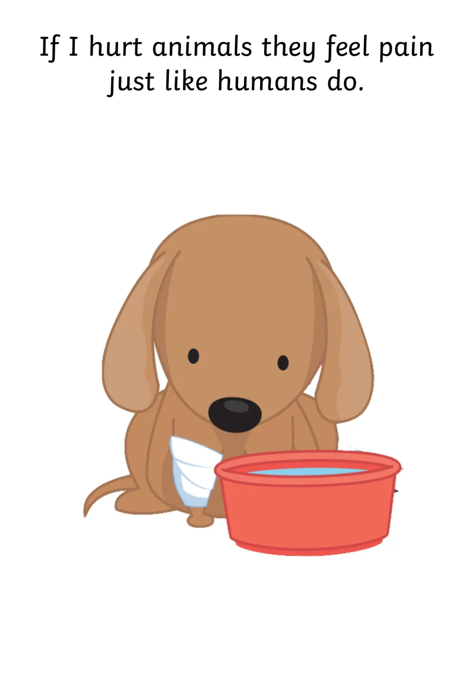 Animals feel pain: if I hurt animals they feel pain just like humans do, shown by a dog with a bandaged leg by a water bowl