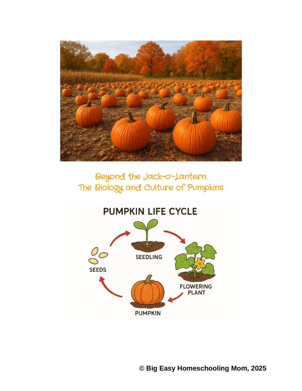 Reading packet cover about pumpkin biology and culture, with a labeled seed-to-pumpkin life cycle diagram