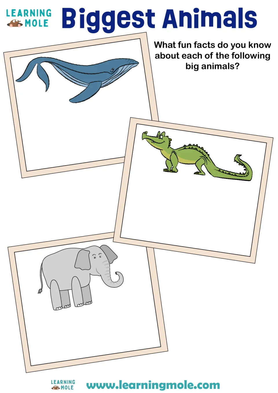 Biggest Animals fact recall: students write fun facts they know about the pictured whale, crocodile and elephant