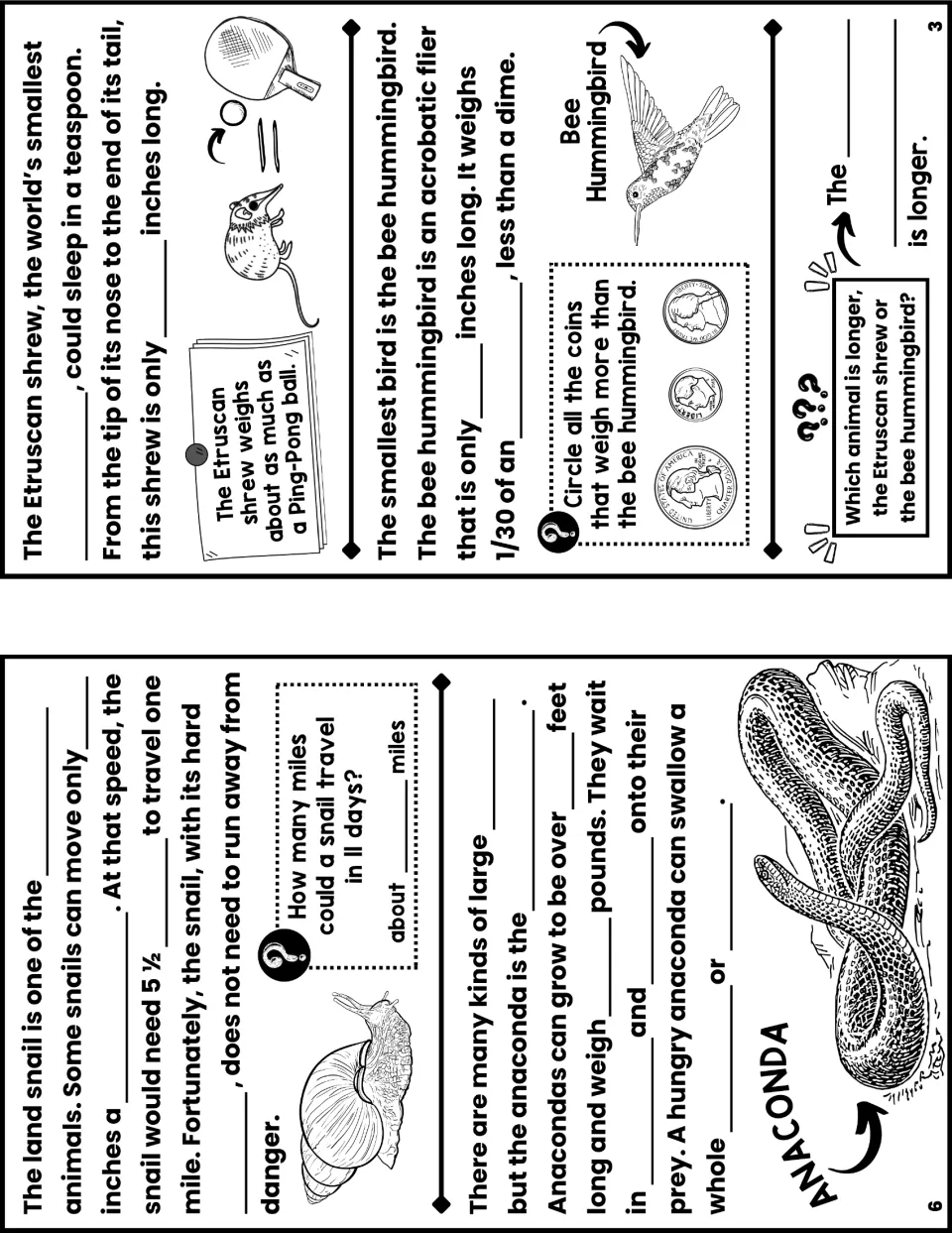 Notes booklet pages 6 and 3 include fill-in facts about land snails, anacondas, shrews, and hummingbirds.