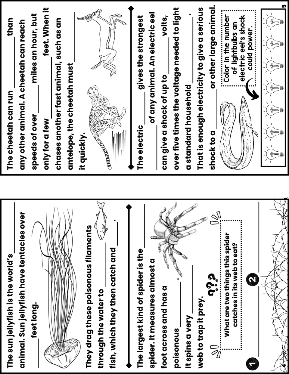 Notes booklet pages 4 and 5 ask about sun jellyfish, bird spiders, cheetah speed, and electric eel voltage.