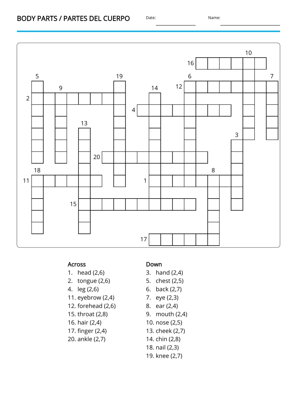 Body parts crossword: students write the Spanish word and article for 20 English clues, such as head (2,6) and knee (2,7)