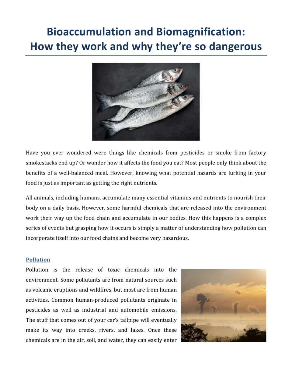 Pollution and the food chain: article opener with fish photo introducing how pesticide and factory chemicals reach our food
