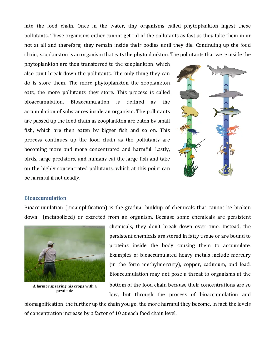 Bioaccumulation reading: plankton-to-fish pollutant transfer, food chain diagram, and heavy metals like mercury and lead