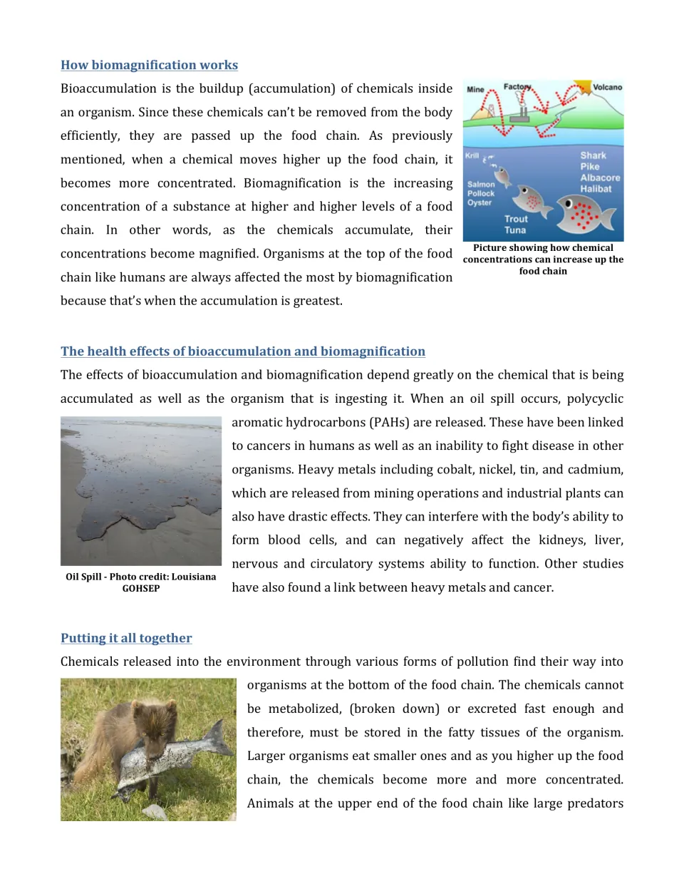 How biomagnification works: chemicals from mine, factory and volcano concentrate in fish; health effects of PAHs and metals