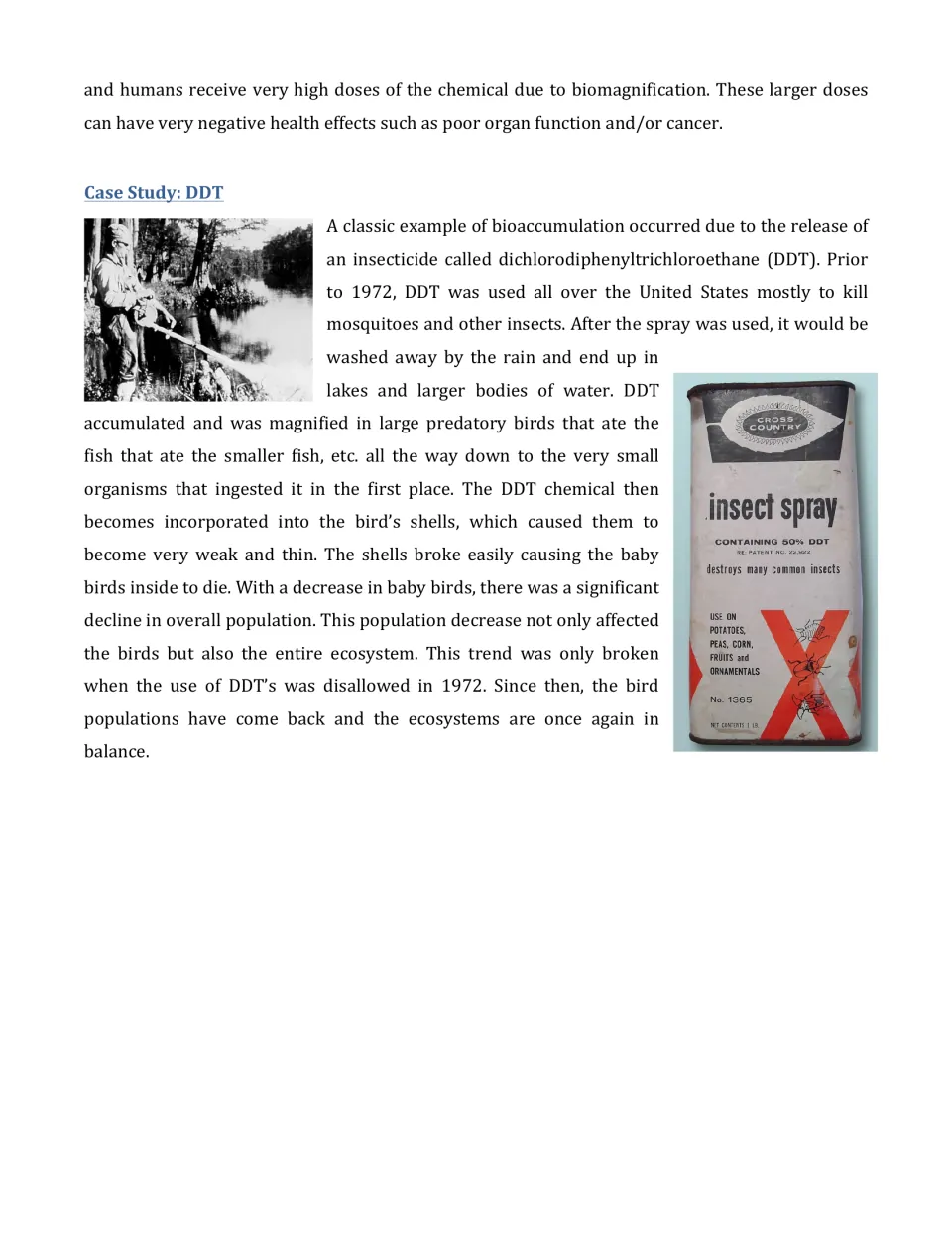 Case Study: DDT reading on how the insecticide thinned predatory bird eggshells, with a 50% DDT insect spray can photo