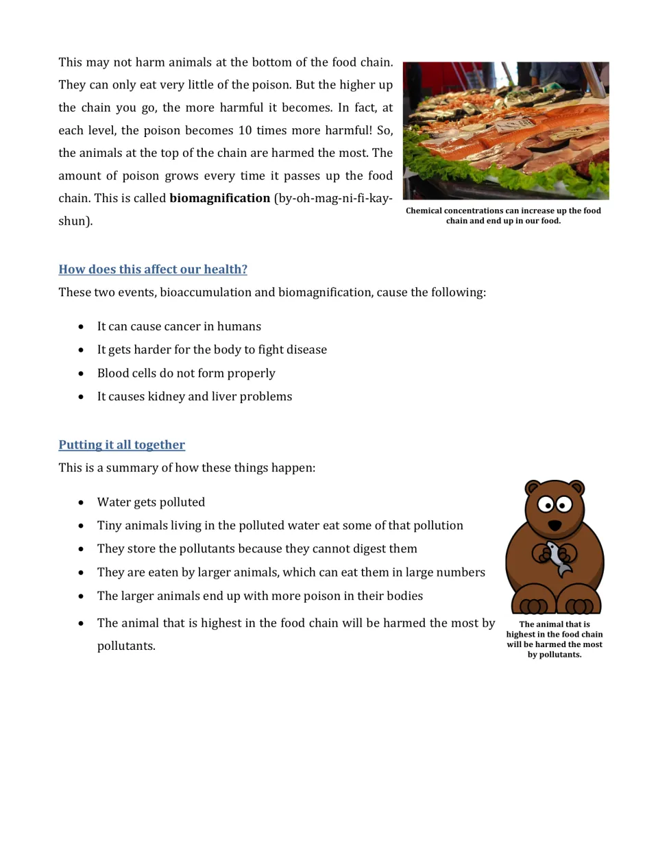 Article on biomagnification: poison grows 10 times per food chain level; health effects and a summary of the process