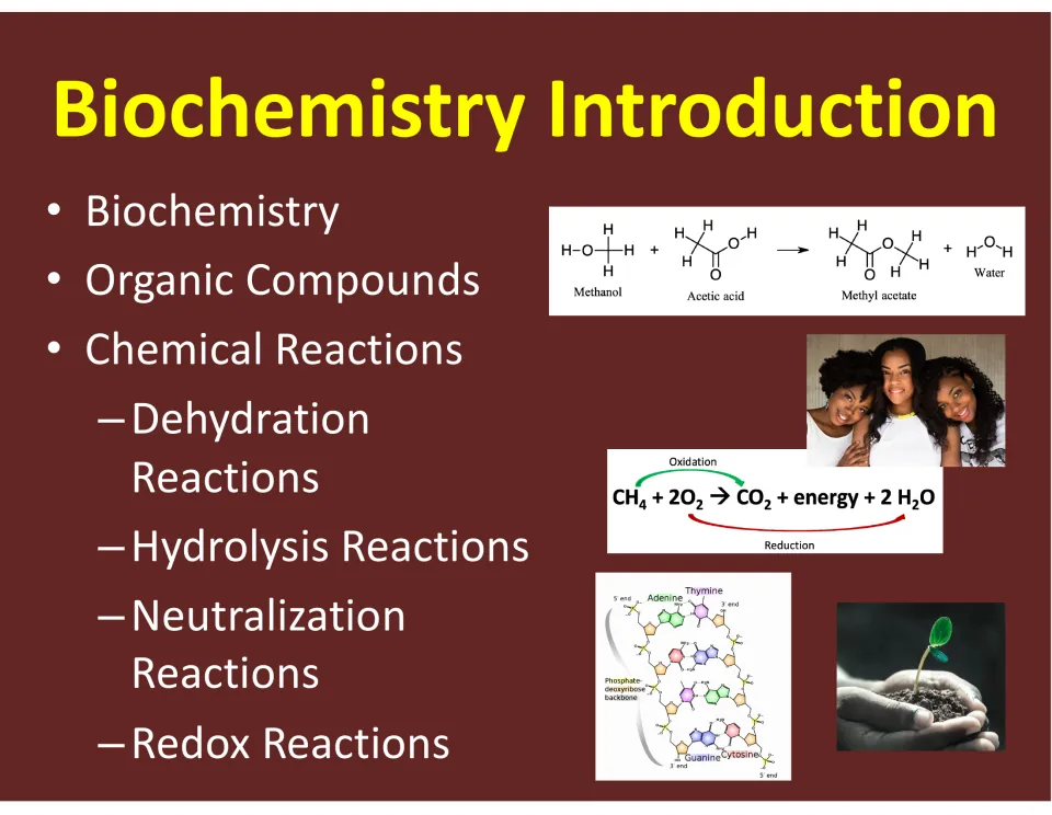 Biochemistry Introduction slide listing organic compounds and dehydration, hydrolysis, neutralization and redox reactions