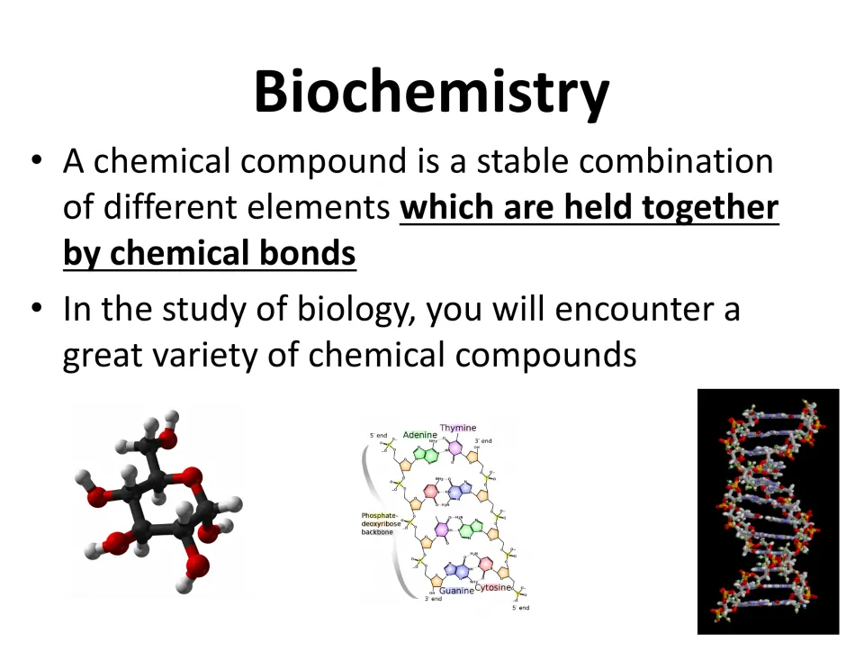 Biochemistry slide defining a chemical compound as elements held together by chemical bonds, illustrated with DNA models