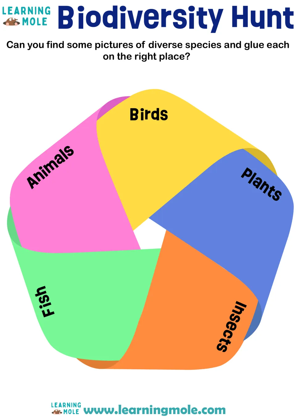 Biodiversity sort: students find pictures of species and glue each under animals, birds, plants, insects or fish