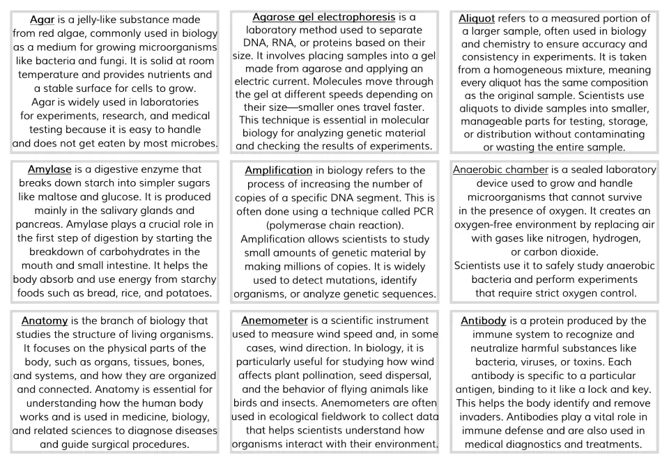 Definition cards for agar through antibody explaining each term, such as amylase breaking starch into simpler sugars