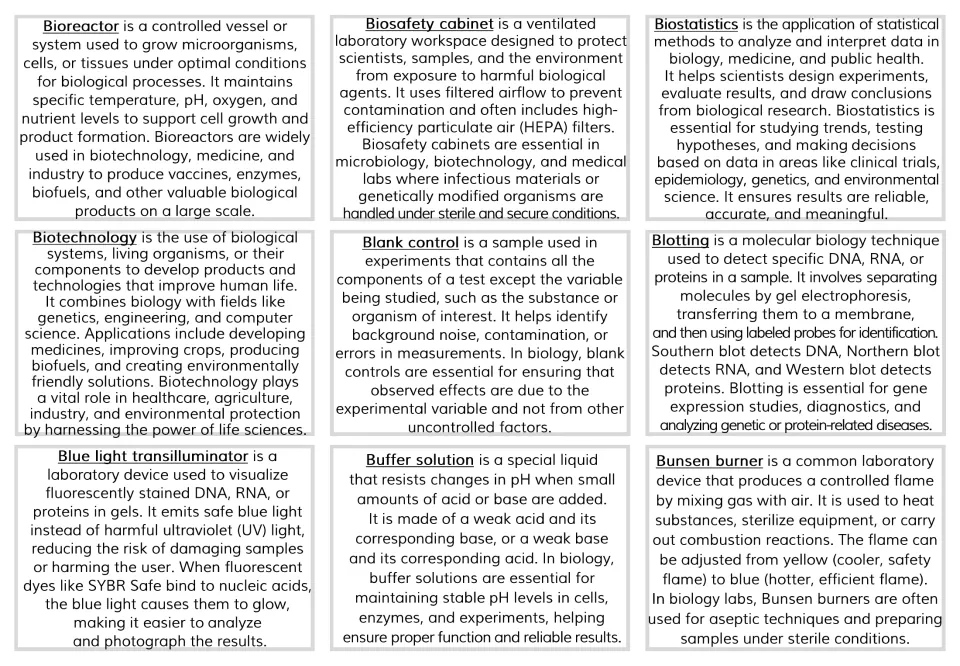 Definition cards for bioreactor through Bunsen burner, covering biotechnology, blank control, buffer solution and blotting