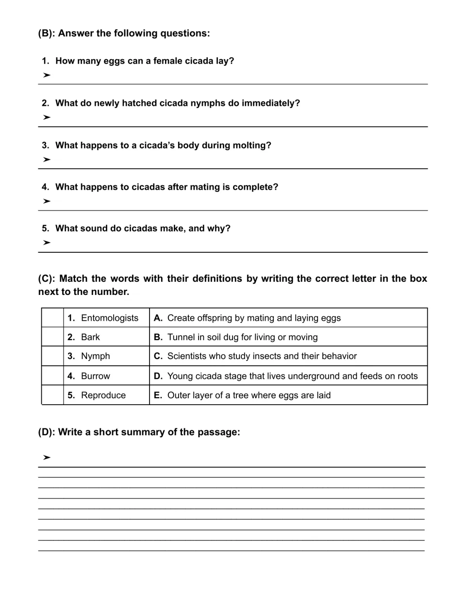 Cicada passage tasks: five short-answer questions, five vocabulary matches, and a written summary