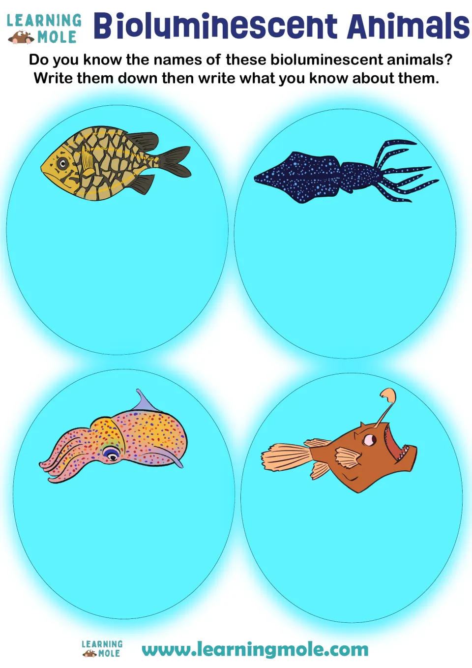 Bioluminescent animals: students name four pictured sea creatures, such as an anglerfish and squid, and note facts