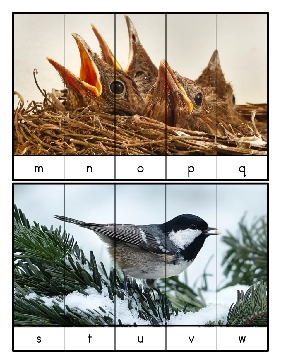 Five-piece lowercase letter puzzles: baby birds in a nest ordered m to q and a small bird on snowy pine ordered s to w