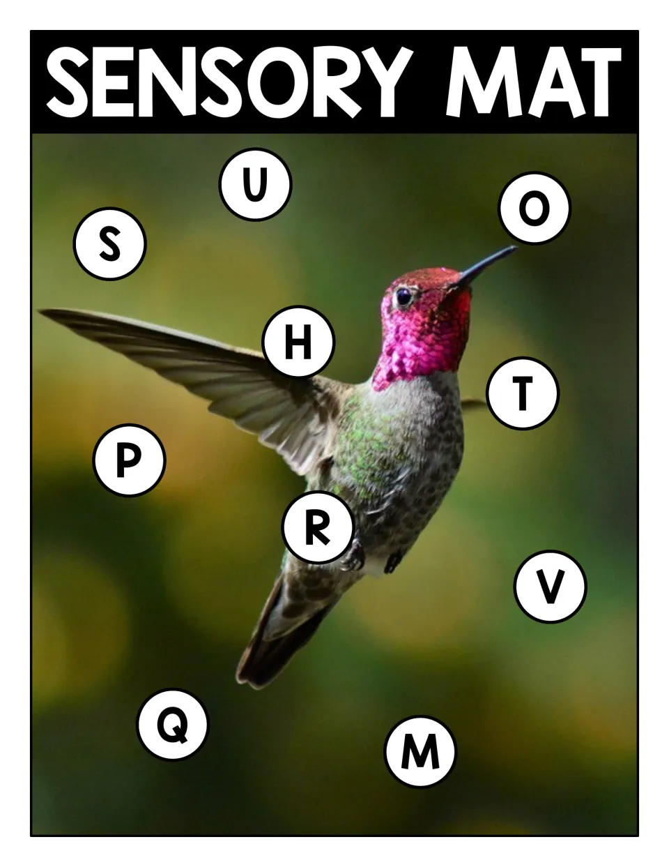 Sensory mat: hovering hummingbird with circled capitals U, O, S, H, T, P, R, V, Q and M for letter recognition