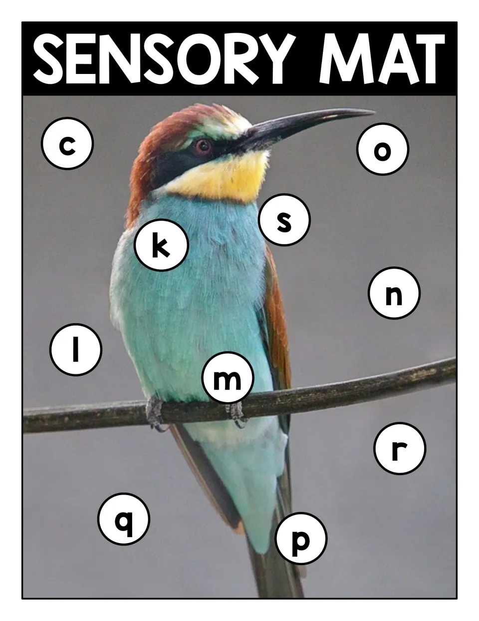 Sensory mat: turquoise bee-eater on a branch with circled lowercase c, o, s, k, n, l, m, r, q and p for letter recognition
