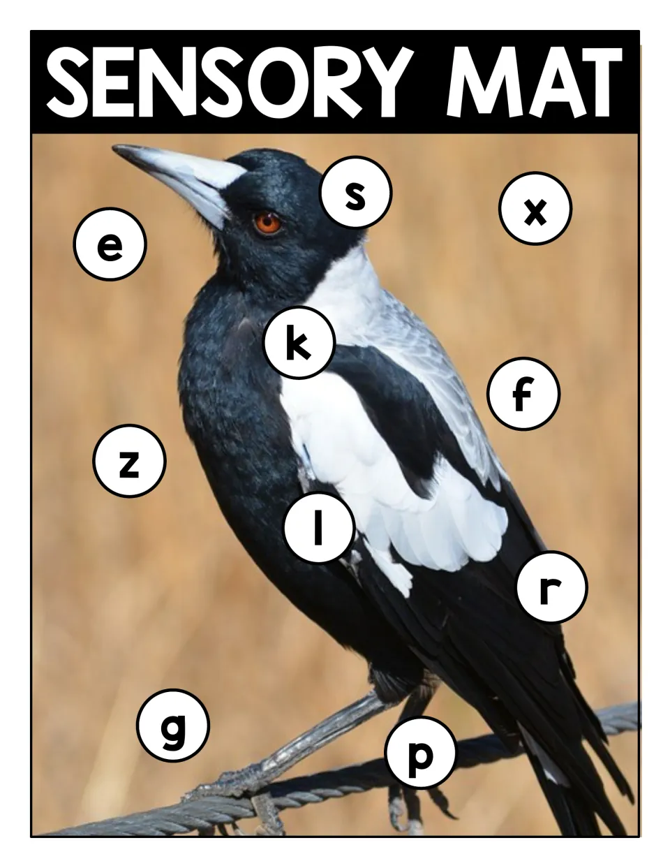 Sensory mat: black and white magpie on a wire with circled lowercase s, x, e, k, f, z, l, r, g and p to locate and name