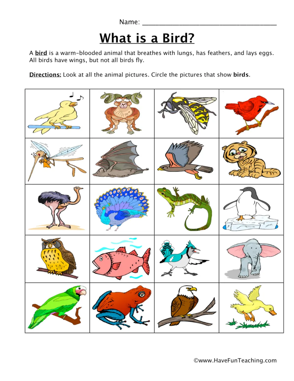 Bird classification practice: identify and circle birds among 20 animals, including an ostrich and penguin.