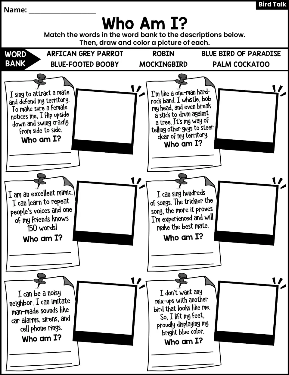 Who Am I? activity asks students to match six bird descriptions to names, then draw and color each bird.