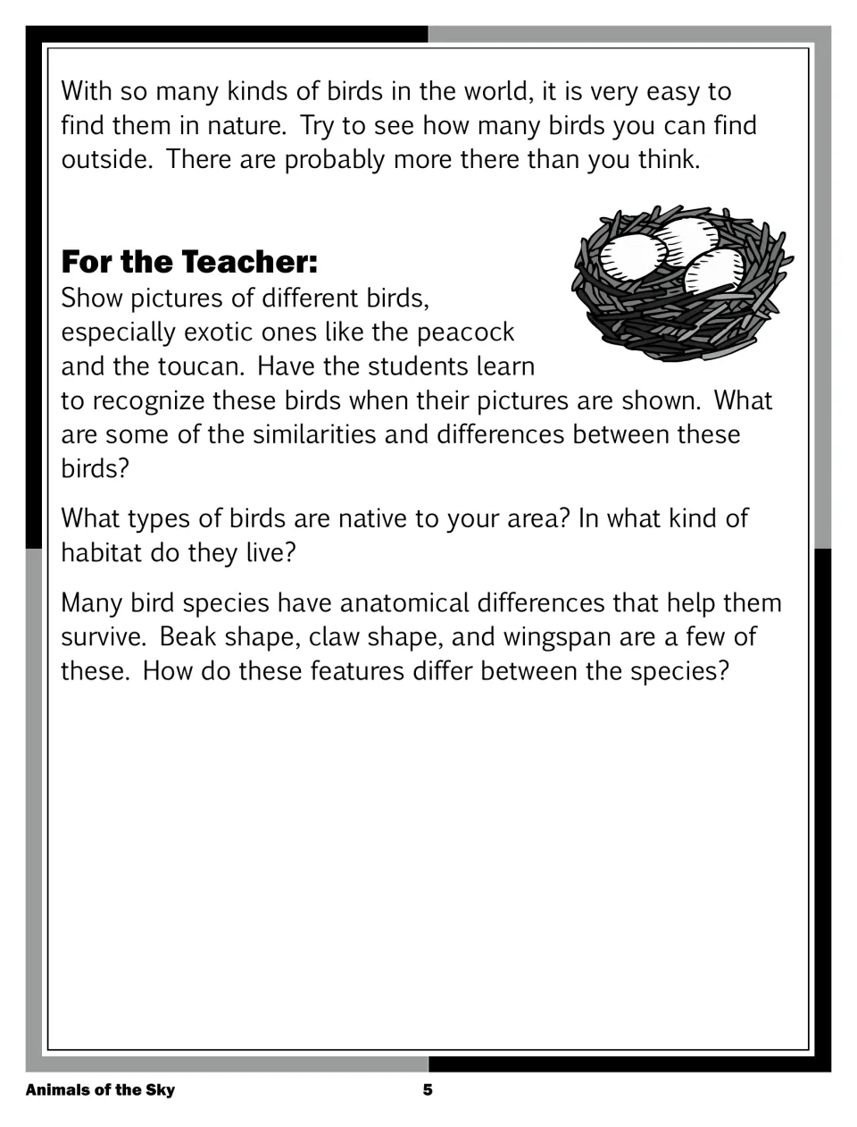 Article ending, then For the Teacher notes: show peacock and toucan pictures, local birds, beak and claw shapes