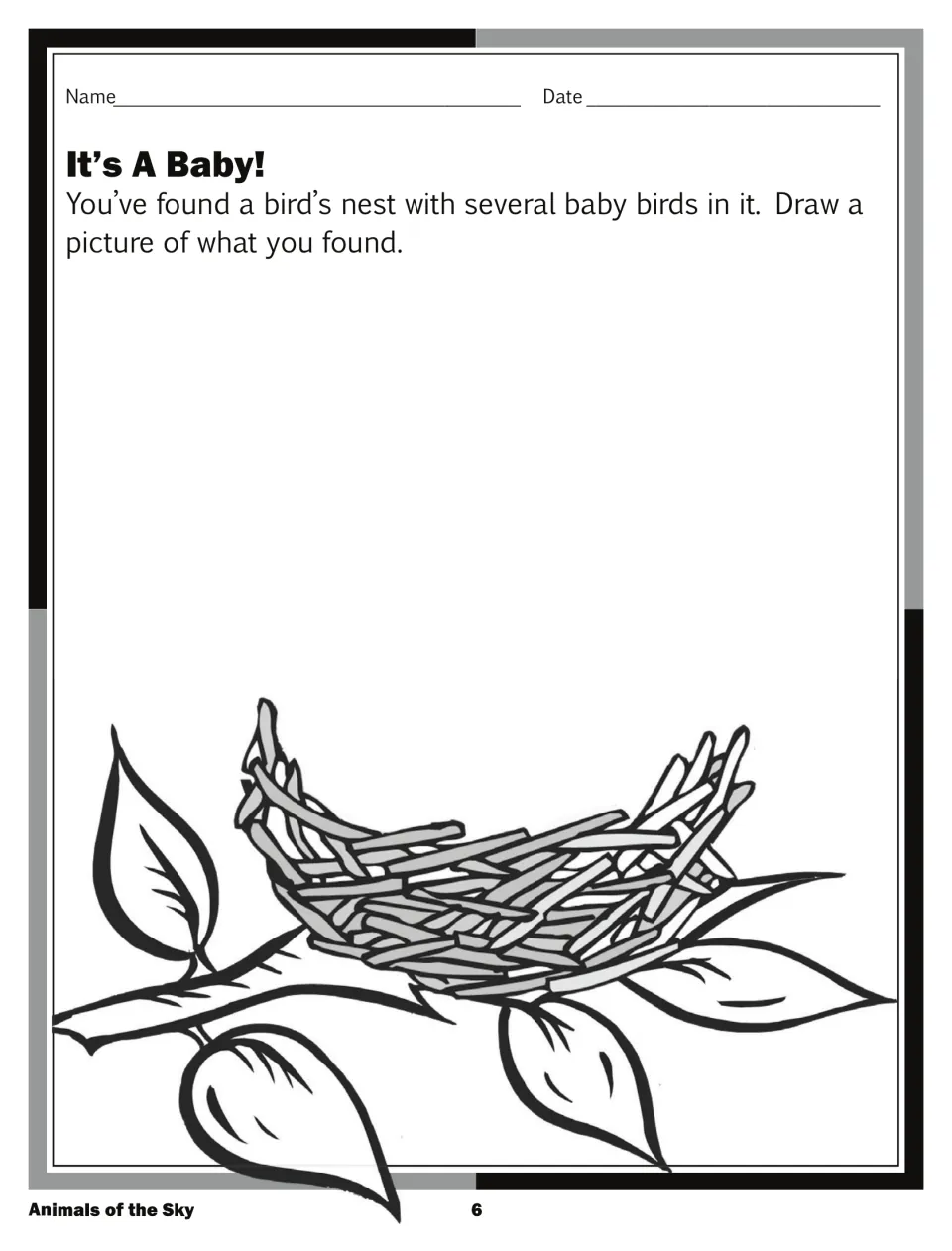 'It's A Baby!' drawing page: draw the baby birds you found in a nest, with an empty nest on a branch to fill in