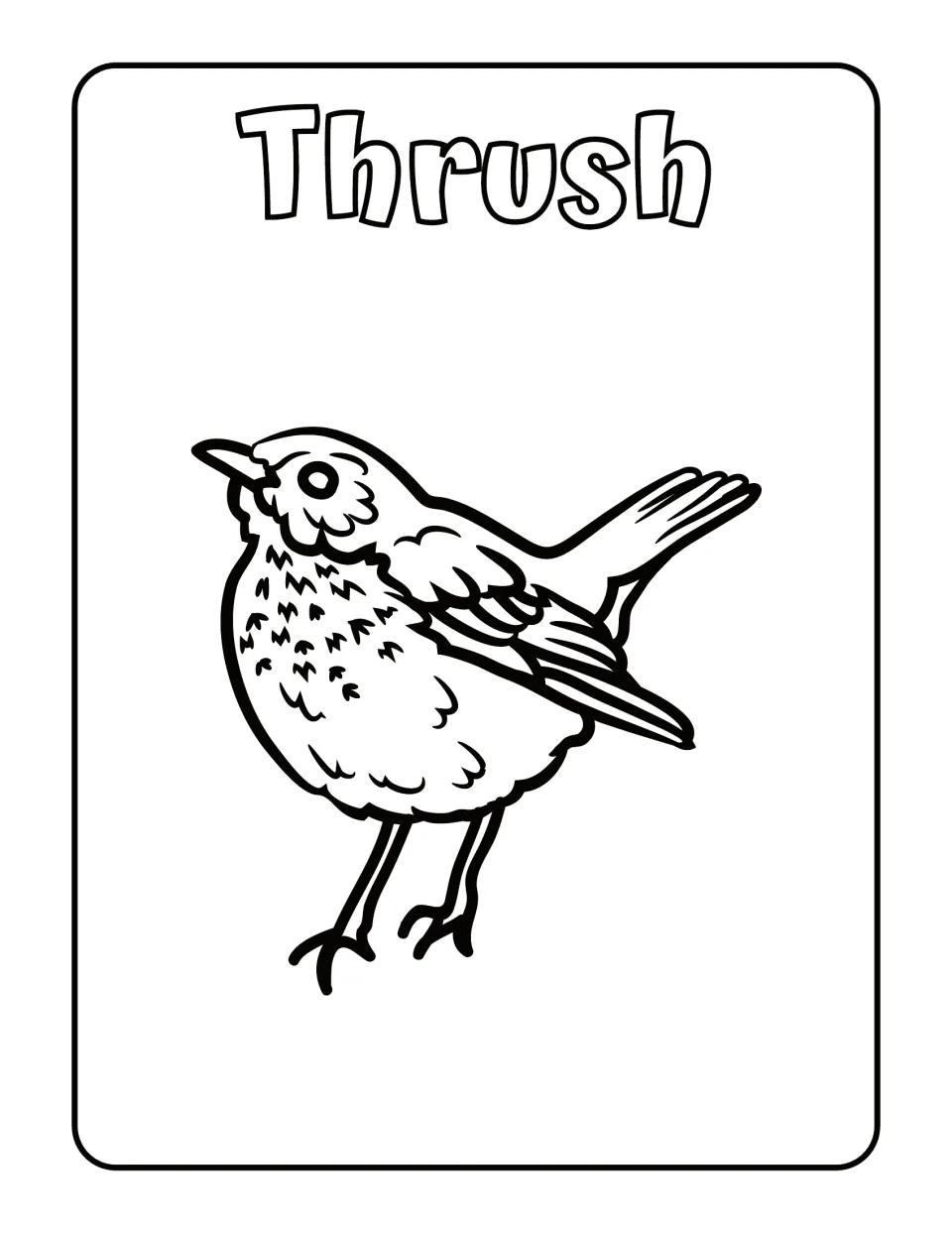 Thrush: students color a round thrush with a speckled breast and raised tail feathers, below the outlined word Thrush