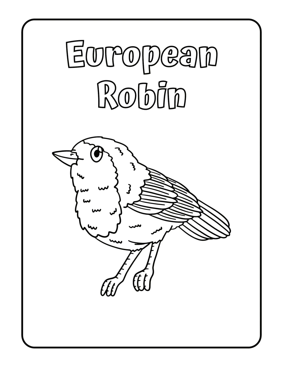 European Robin: students color a fluffy robin with a feathered breast, sharp beak and layered wing, labeled by name