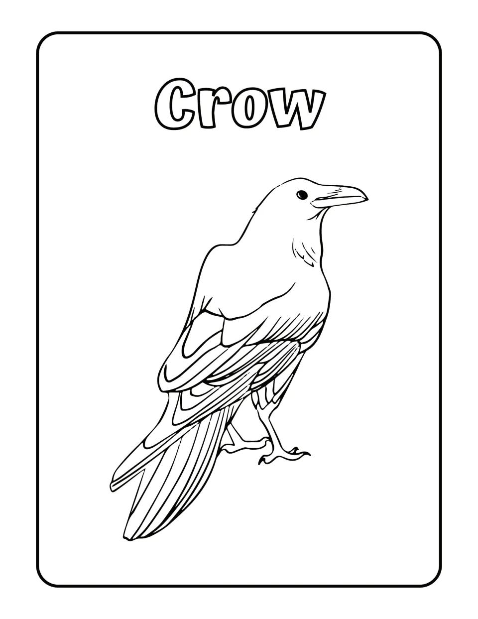 Crow: students color a detailed crow standing and looking back over its shoulder, with layered wing and tail feathers