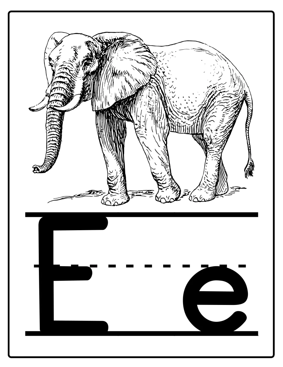 Alphabet poster for classroom display featuring uppercase E and lowercase e with an elephant illustration.