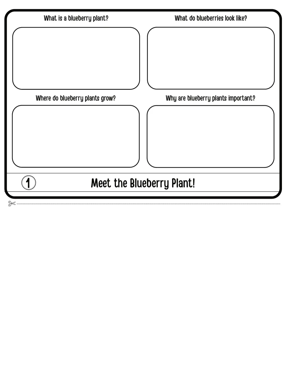 Meet the Blueberry Plant flap 1: students answer what it is, what berries look like, where it grows and why it matters