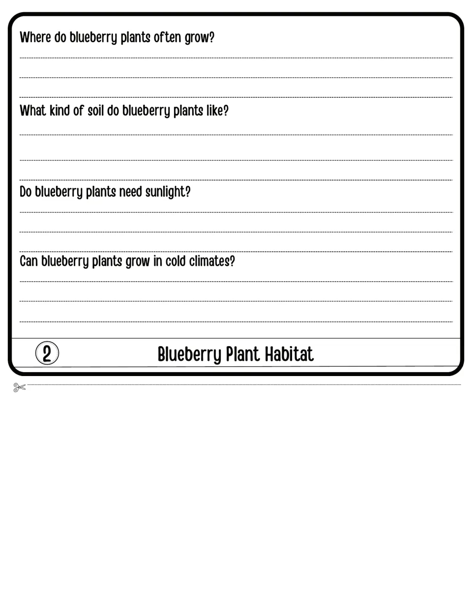 Blueberry Plant Habitat flap 2: students write about where the plants grow, soil type, sunlight needs and cold climates