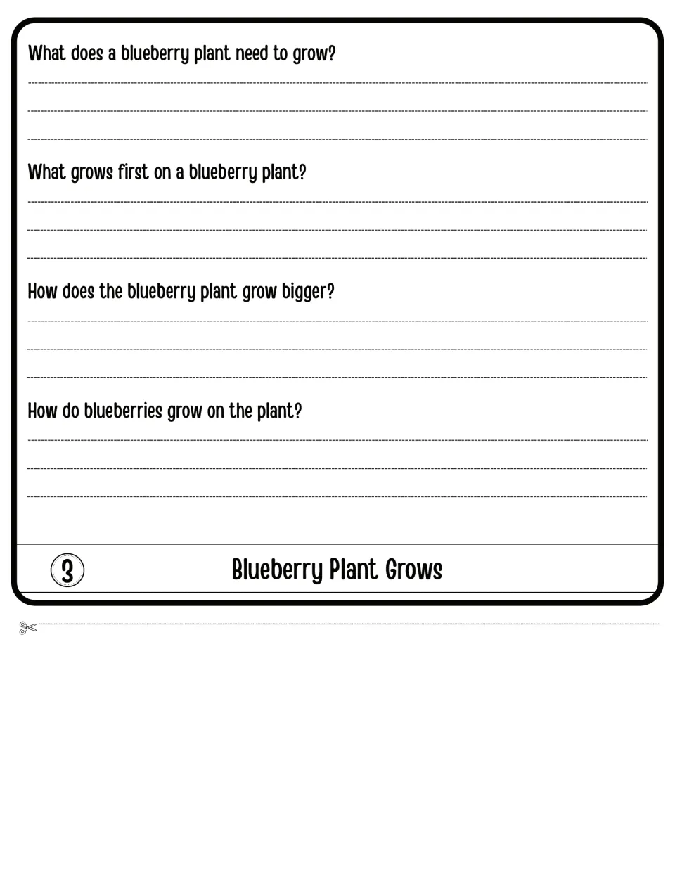 Blueberry Plant Grows flap 3: students explain what it needs, what grows first, how it gets bigger and how berries form
