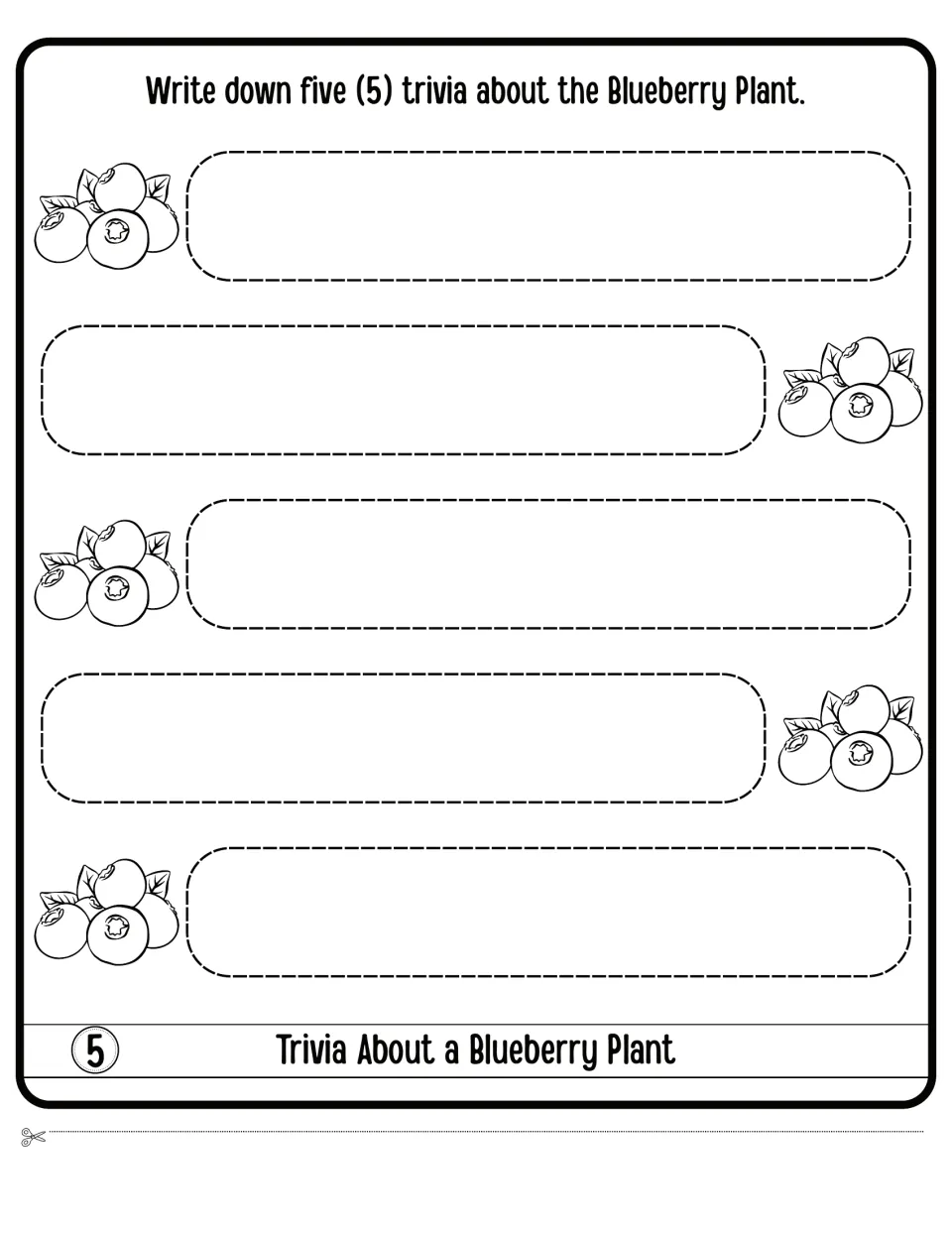 Trivia About a Blueberry Plant flap 5: students write down five trivia facts about the plant