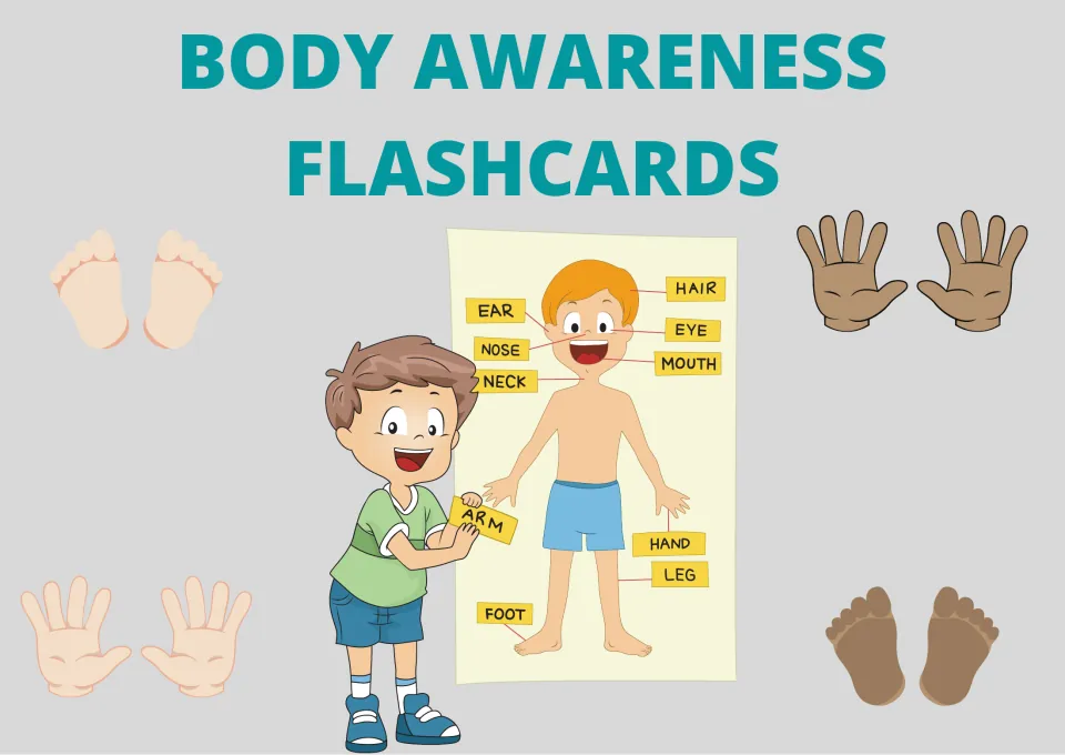 Body Awareness Flashcards cover featuring a labeled body diagram and pictures of hands and feet.