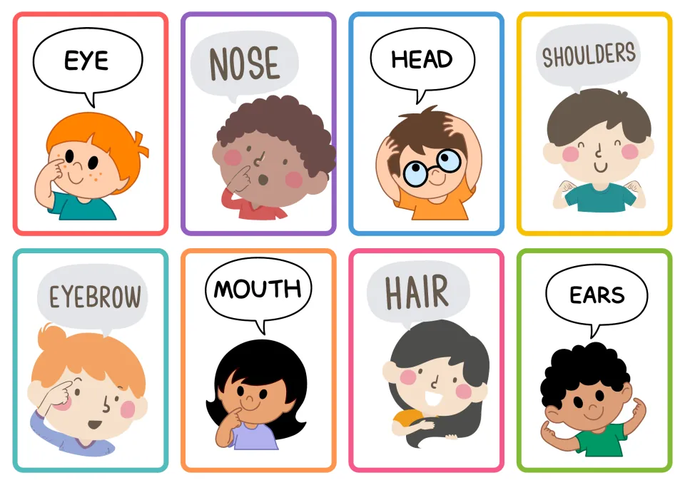 Body-part flashcards 1–8: eye, nose, head, shoulders, eyebrow, mouth, hair, and ears, each with a picture.