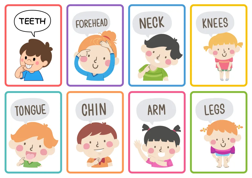 Body-part flashcards 9–16: teeth, forehead, neck, knees, tongue, chin, arm, and legs, each with a picture.