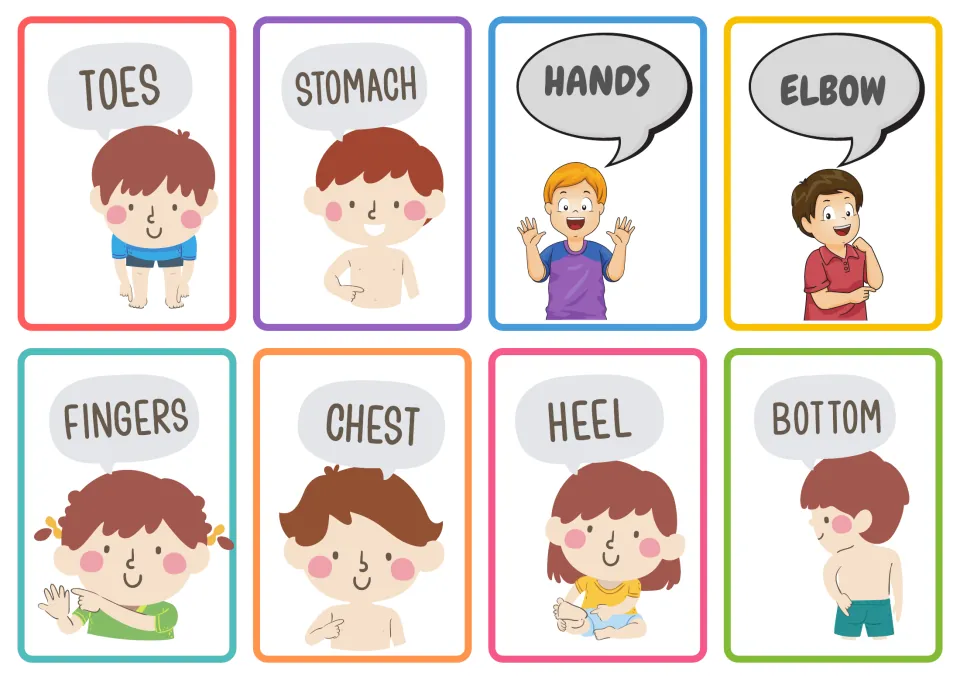 Body-part flashcards 17–24: toes, stomach, hands, elbow, fingers, chest, heel, and bottom, with pictures.