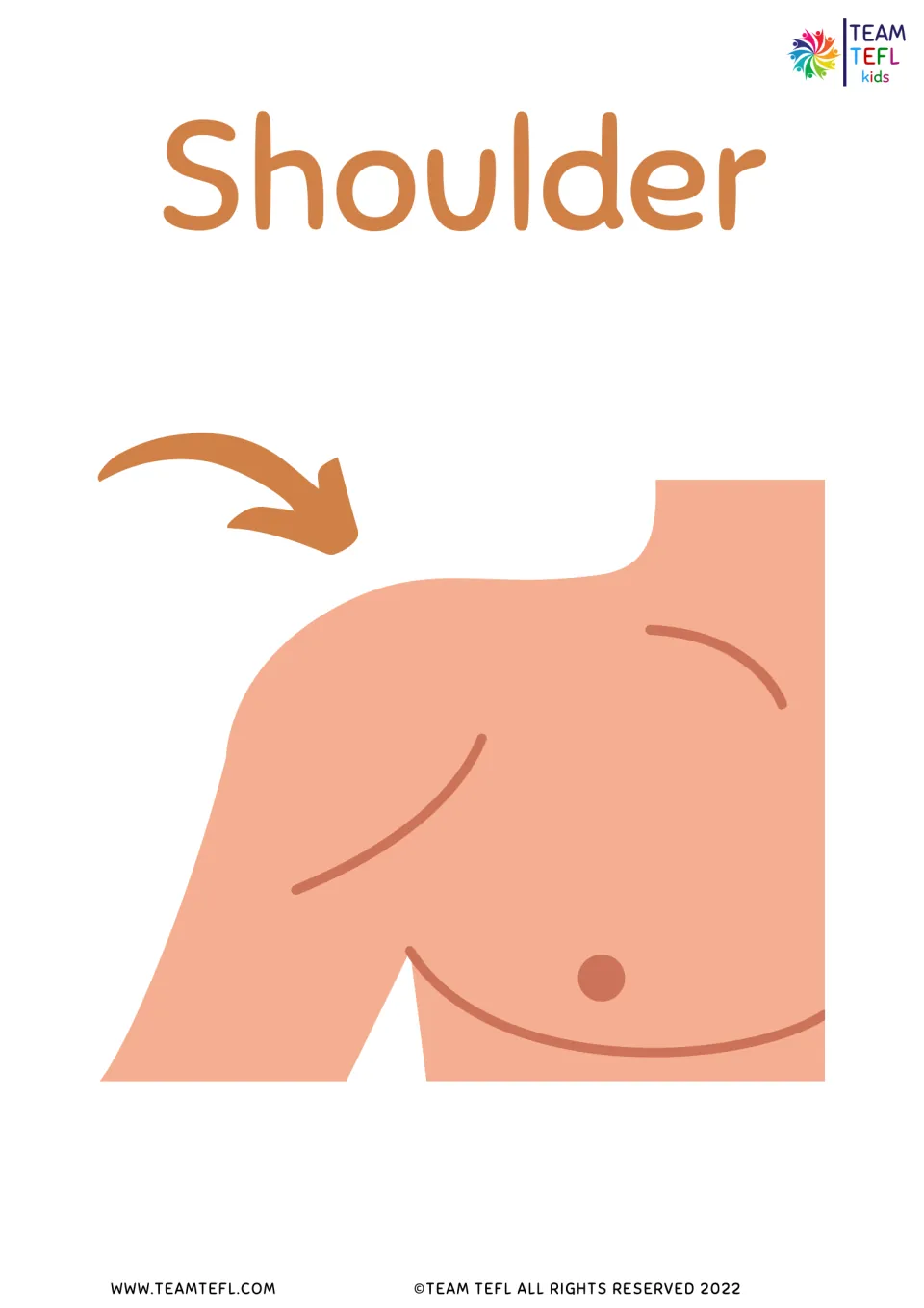 Shoulder flashcard: the word Shoulder with a curved arrow pointing to the shoulder on an illustrated upper body