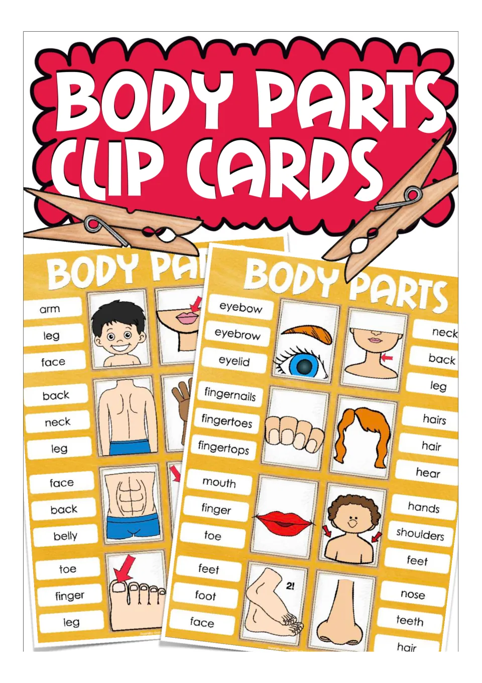 Body Parts Clip Cards cover showing sample picture cards with body-part word choices and clothespins