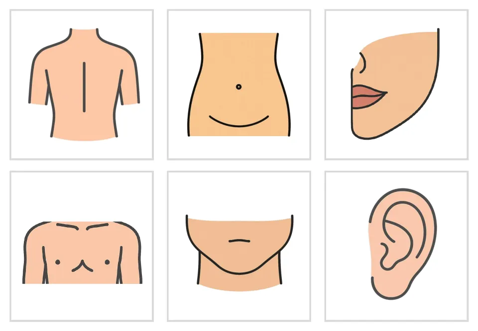 Body-part picture-only flashcards 1–6: color illustrations of the back, belly, cheek, chest, chin, and ear