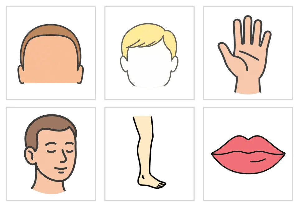 Body-part picture-only flashcards 13–18: color illustrations of the forehead, hair, hand, head, leg, and lips